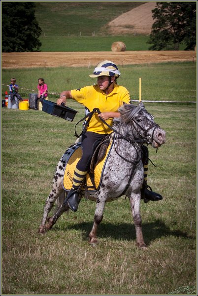 Mounted Games 311